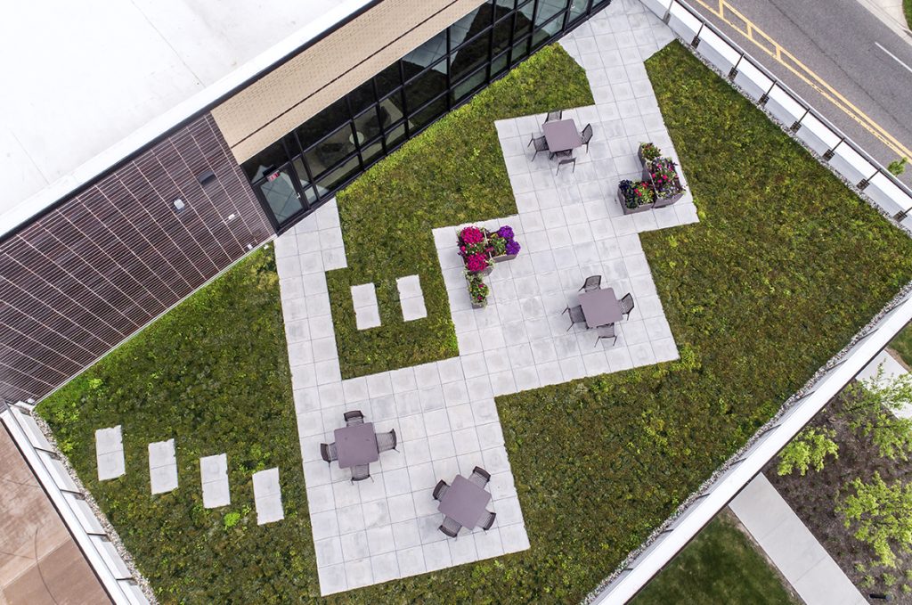 Delta-College-Midland_2022_N45_GreenerRoof