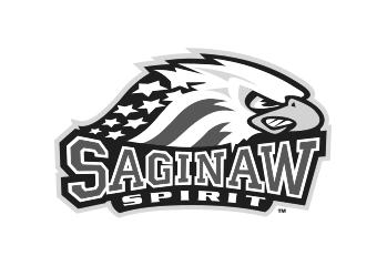 8-SagSpirit